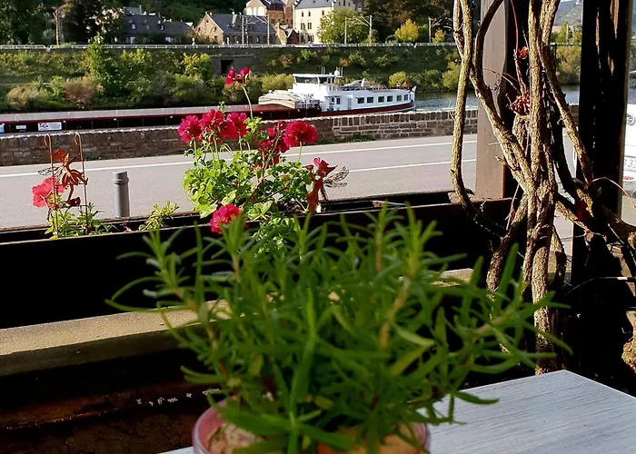 Gasthaus Traube Niederfell