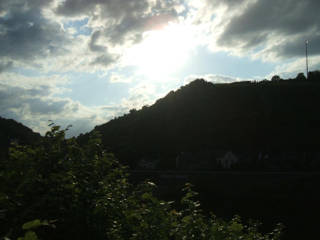 Traube 3* Niederfell