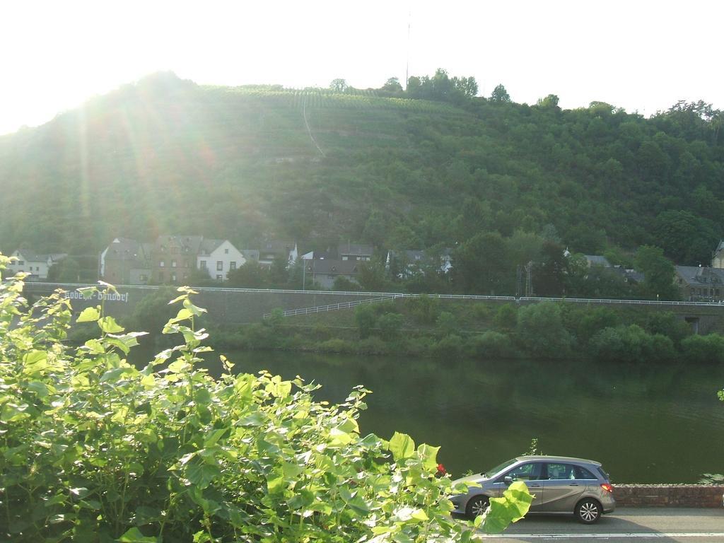 Traube Gasthof