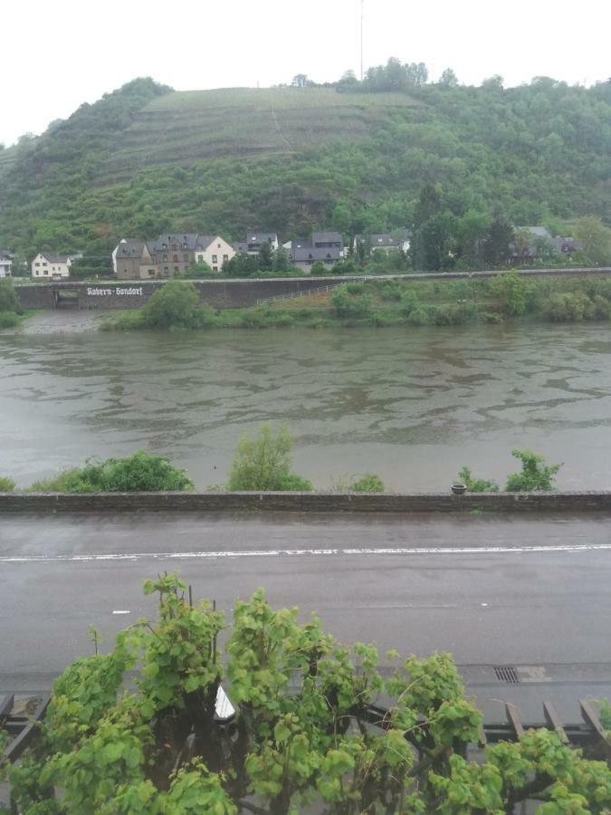 Gasthof Traube